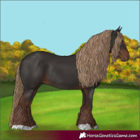Horse Color:Liver Chestnut Rabicano 