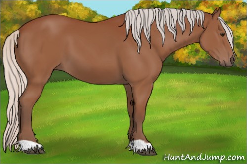 Horse Color:Silver Bay 