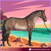 Horse Color:Brown Dun 