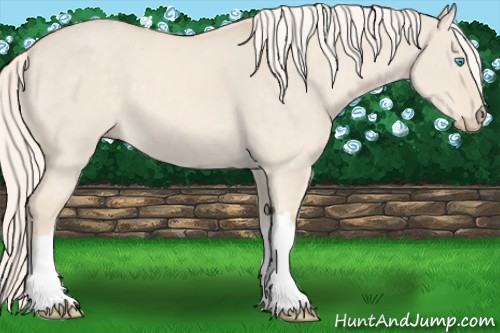 Horse Color:Cremello Dun 