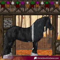 Horse Color:Black Ice Tobiano