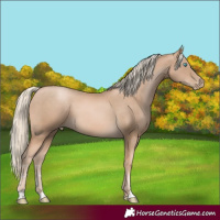 Horse Color:Chocolate Palomino Pearl