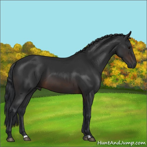 Horse Color:Brown 