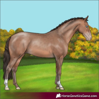 Horse Color:Sable Champagne