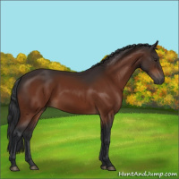 Horse Color:Brown 
