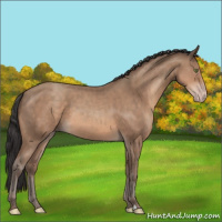 Horse Color:Sable Champagne