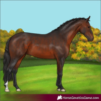 Horse Color:Brown 