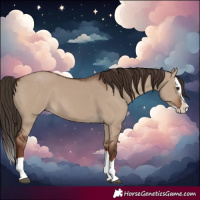 Horse Color:Liver Red Dun Splash 
