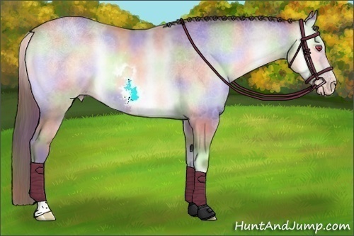 Horse Color:Nacre White Spotted Chocolate Sable Champagne Chinchilla Onyx 