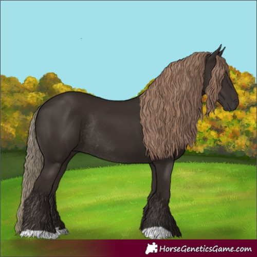 Horse Color:Liver Chestnut Rabicano 