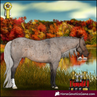 Horse Color:Silver Brown Roan Dun 