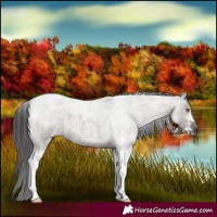 Horse Color:Smoky Grullo Roan Sabino 
