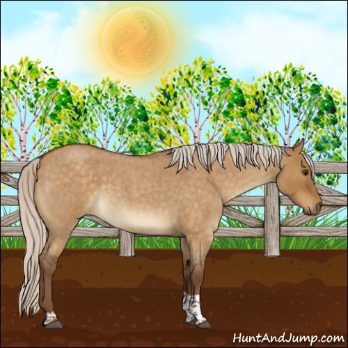 Horse Color:Silver Buckskin Roan Dun Tobiano 