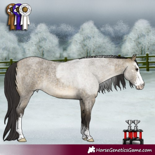 Horse Color:Buckskin Roan Dun Sabino 