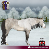 Horse Color:Buckskin Roan Dun Sabino