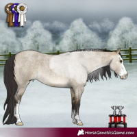 Horse Color:Buckskin Roan Dun Sabino 