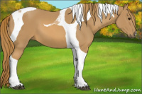 Horse Color:Chestnut Tobiano 