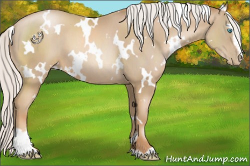 Horse Color:White Spotted Silver Smoky Black Pearl Sabino