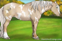 Horse Color:White Spotted Silver Smoky Black Pearl Sabino 