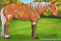 Horse Color:White Spotted Silver Buckskin Sabino