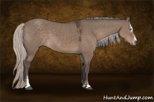 Horse Color:Silver Grullo Sabino 