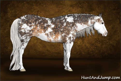 Horse Color:Silver Smoky Black Sabino 