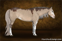 Horse Color:Silver Brown Dun Sabino 