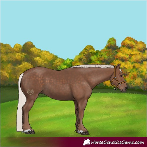 Horse Color:Silver Black 
