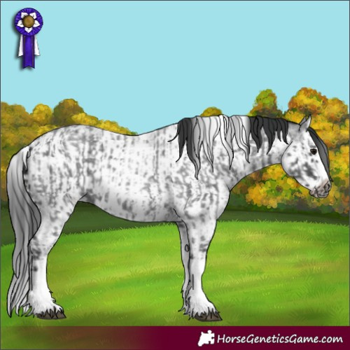 Horse Color:Blue Roan Sabino Splash  and Blue Roan Sabino Splash Frame 