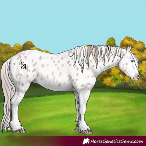 Horse Color:Platinum Gold Champagne Splash Near Leopard 