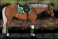 Horse Color:Silver Bay Sabino Tobiano 