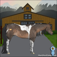 Horse Color:Brown Dun Tobiano 