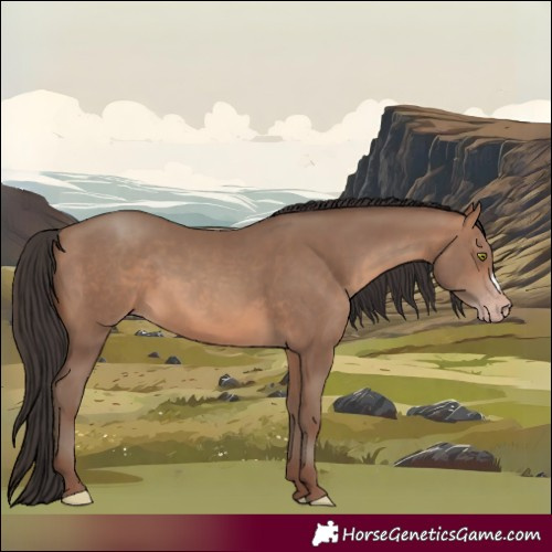 Horse Color:Sable Champagne 