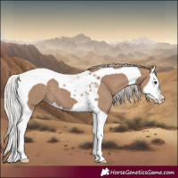 Horse Color:Silver Grullo Splash Tobiano 