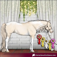 Horse Color:Palomino Pearl Dun Tobiano