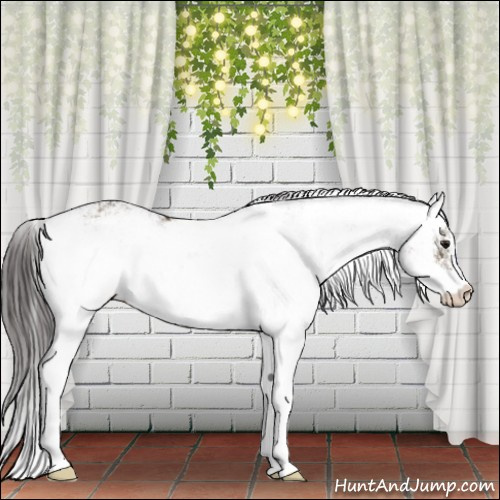 Horse Color:Smoky Grullo Sabino Rabicano 