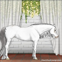 Horse Color:Smoky Grullo Sabino Rabicano 