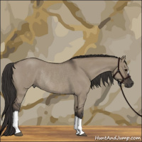 Horse Color:Smoky Grullo Roan Rabicano 