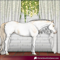 Horse Color:White Spotted Palomino Dun Rabicano 