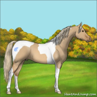 Horse Color:Red Dun Roan Tobiano 