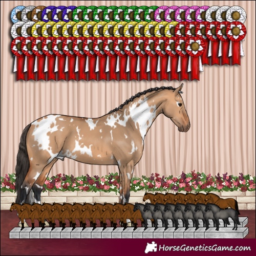 Horse Color:White Spotted Bay Dun