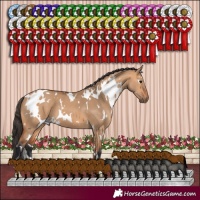 Horse Color:White Spotted Bay Dun 