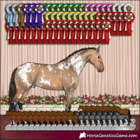 Horse Color:White Spotted Bay Dun 