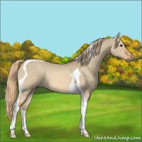 Horse Color:Red Dun Tobiano