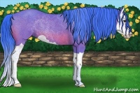 Horse Color:Watercolor Bay Splash 