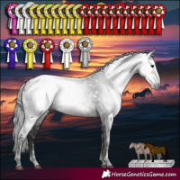 Horse Color:Gray White Spotted Black Varnish Rabicano 
