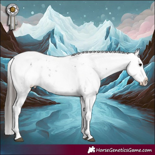 Horse Color:White Spotted Black Sabino Appaloosa 