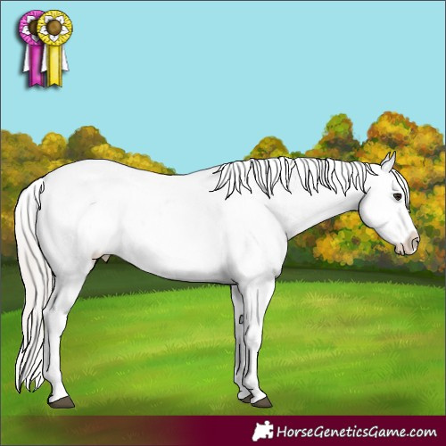 Horse Color:White Spotted Silver Brown Dun Appaloosa 
