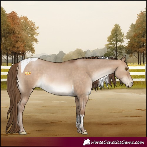 Horse Color:Brown Pearl Dun Tobiano Rabicano 