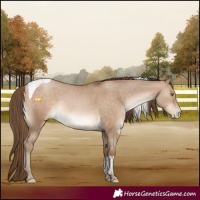 Horse Color:Brown Pearl Dun Tobiano Rabicano